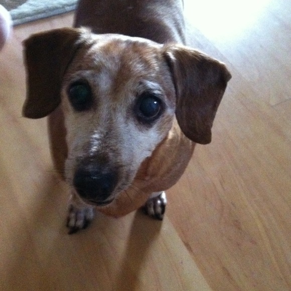 Profile Picture of Kim Kaneshiro (@kaneshiro4k) on Poshmark