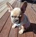 Profile Picture of Adam Atkinson (@adam.atkinson.777701) on Facebook