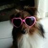 Profile Picture of Ben link (@@ben.lnk) on Tiktok