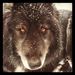 Profile Picture of Barry Rutherford (@rutherford99) on Pinterest