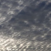 Kate Bowers - Youtube Profile Picture of Kate Bowers (@katebowers3718) on Youtube