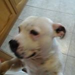 Profile Picture of Joshua massie (@gilsonmassie) on Instagram