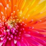 Profile Picture of Garfield Thompson (@garfield.thompson.92102) on Instagram