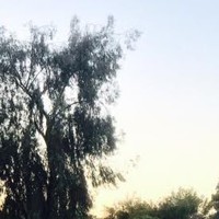 Profile Picture of Cecilia Paz (@cecilia-paz-7) on Quora