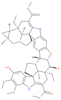 Profile Picture of Conophyllineon Wikipedia