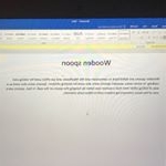 Profile Picture of James Nickel Stilo (@jamesnickelstilo) on Instagram