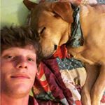 Profile Picture of joel collier (@joelc95) on Instagram
