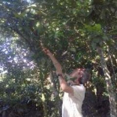 Profile Picture of Emilio Alcalá Gelice (@Emilioc4949) on Twitter