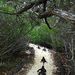 Profile Picture of Sally Pytel (@sallypytel) on Pinterest