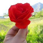 Profile Picture of Faisal Kamal (@fk.faisalkamal) on Instagram