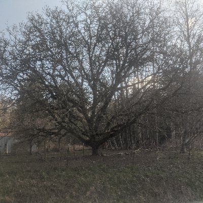 Profile Picture of Sean Goodrich (@SeanGoodrich15) on Twitter