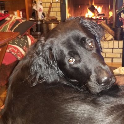 Profile Picture of Tim Navratil (@TimNavratil) on Twitter