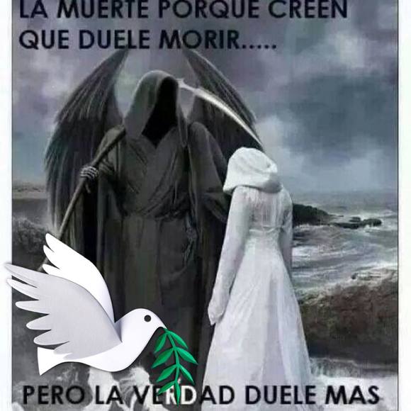 Mario Salgado - Poshmark Profile Picture of Mario Salgado (@salgadom4) on Poshmark