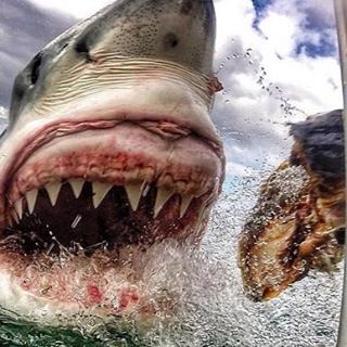 Profile Picture of Kevin Farrell (@Kevin-Farrell) on Facebook