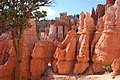 Profile Picture of Bryce Canyon National Park Scenic Trails Historic Districton Wikipedia