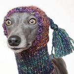 Profile Picture of Amanda Othman (@amandafeigel) on Instagram