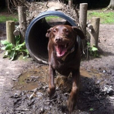 Profile Picture of Libby Bell (@ibble808) on Twitter