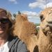 Profile Picture of Debra Tomaszewski (@debratomaszewsk) on Pinterest