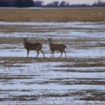 Profile Picture of Kara Deuter Heffner (@karaheffner) on Instagram