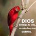 Profile Picture of Nelson Vargas (@Nelson-Vargas) on Facebook