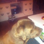 Profile Picture of Garnier (@laurentgarnier) on Instagram