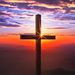 Profile Picture of Jeremy Brunner (@jeremyanddolly) on Pinterest