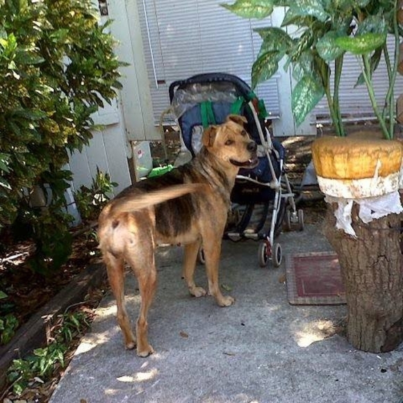 Profile Picture of John Mccartney (@johnmccartne220) on Poshmark