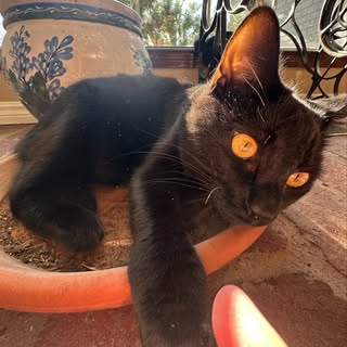 Profile Picture of Gavin Bunch (@bunch.gavin) on Instagram