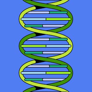 Profile Picture of chadwilderman8 (@chadwilderman8) on Tiktok