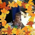 Sandra Waddle McCurry - Instagram Profile Picture of Sandra Waddle McCurry (@waddlemccurry) on Instagram