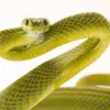 Profile Picture of kyle (@kyleisnew2) on Tiktok