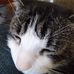 Profile Picture of Richard Hinkson (@richard.hinkson.54) on Facebook