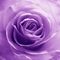Profile Picture of Lubna Bazzi (@lubna.bazzi.12) on Facebook