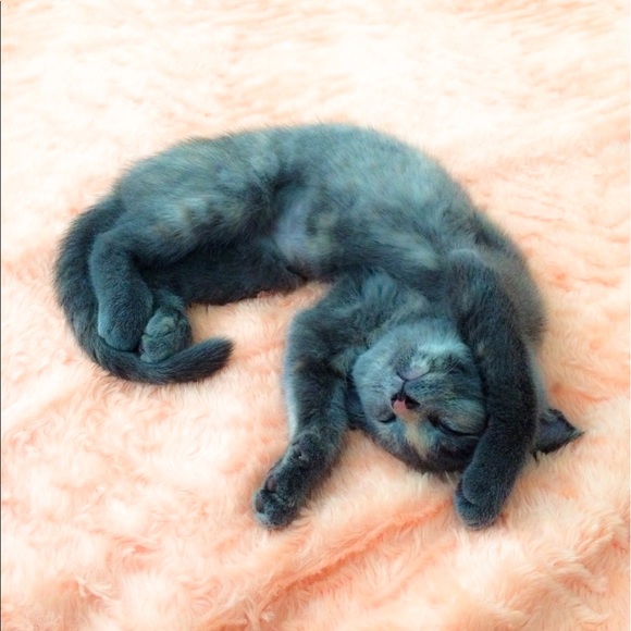 Profile Picture of Ikuko M. (@miklowski) on Poshmark