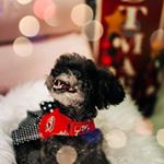 Profile Picture of Kim Kier (@kim_kier) on Instagram
