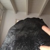 Profile Picture of Anne Broekstra (@@annestoer) on Tiktok