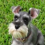 Profile Picture of paula obando (@paulaannetteobando) on Instagram