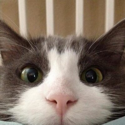 Profile Picture of Lloyd Nolan (@nolan_lloyd) on Twitter