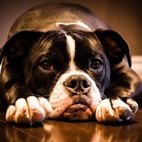 Profile Picture of Vaughn Marshall (@vaughn-marshall-3) on Quora