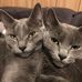 Profile Picture of Michelle Patterson (Michelle Moore Patterson) (@michelle.patterson.3760) on Facebook