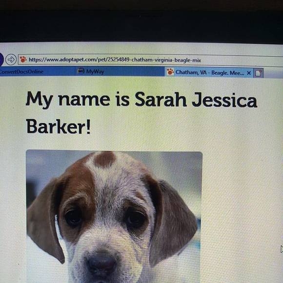 Profile Picture of Jo ann Najor (@najor1947) on Poshmark