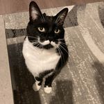 Profile Picture of Sonia François (@fr.ancois3127) on Instagram