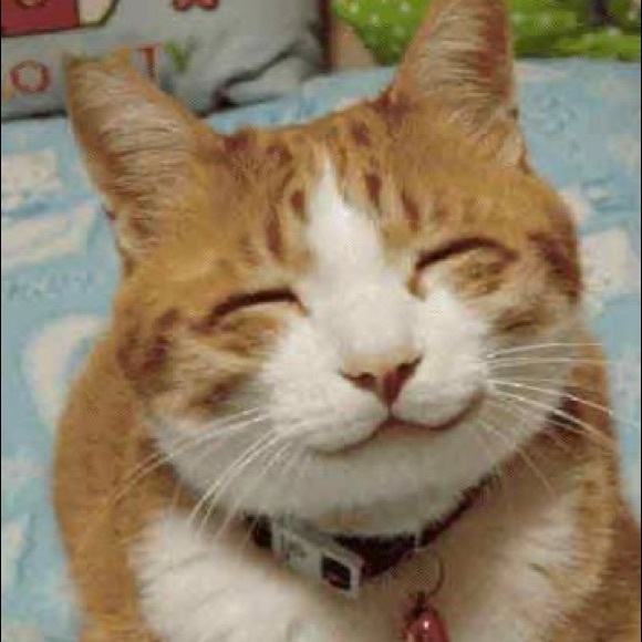 Profile Picture of G Ianka (@keekoi73) on Poshmark