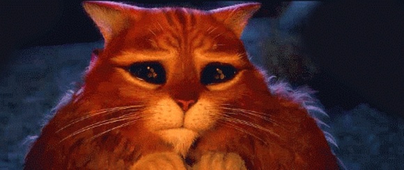 Profile Picture of Ginger Rubingh (@upscaleresale79) on Poshmark