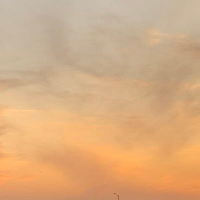 Profile Picture of . (@Richardmunoz0) on Twitter