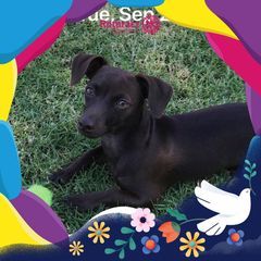 Profile Picture of tonikeith840 (@tonikeith840) on Tiktok