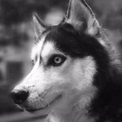 Profile Picture of Jerry Chong (@jerrychong91) on Twitter