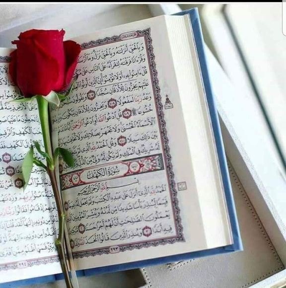 Ebtesam Sy - Poshmark Profile Picture of Ebtesam Sy (@ebtesamsy) on Poshmark