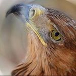 Profile Picture of Jerzy Woźniak (@yzrej55) on Instagram