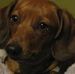 Profile Picture of Bill Foss (@bill.foss2) on Facebook